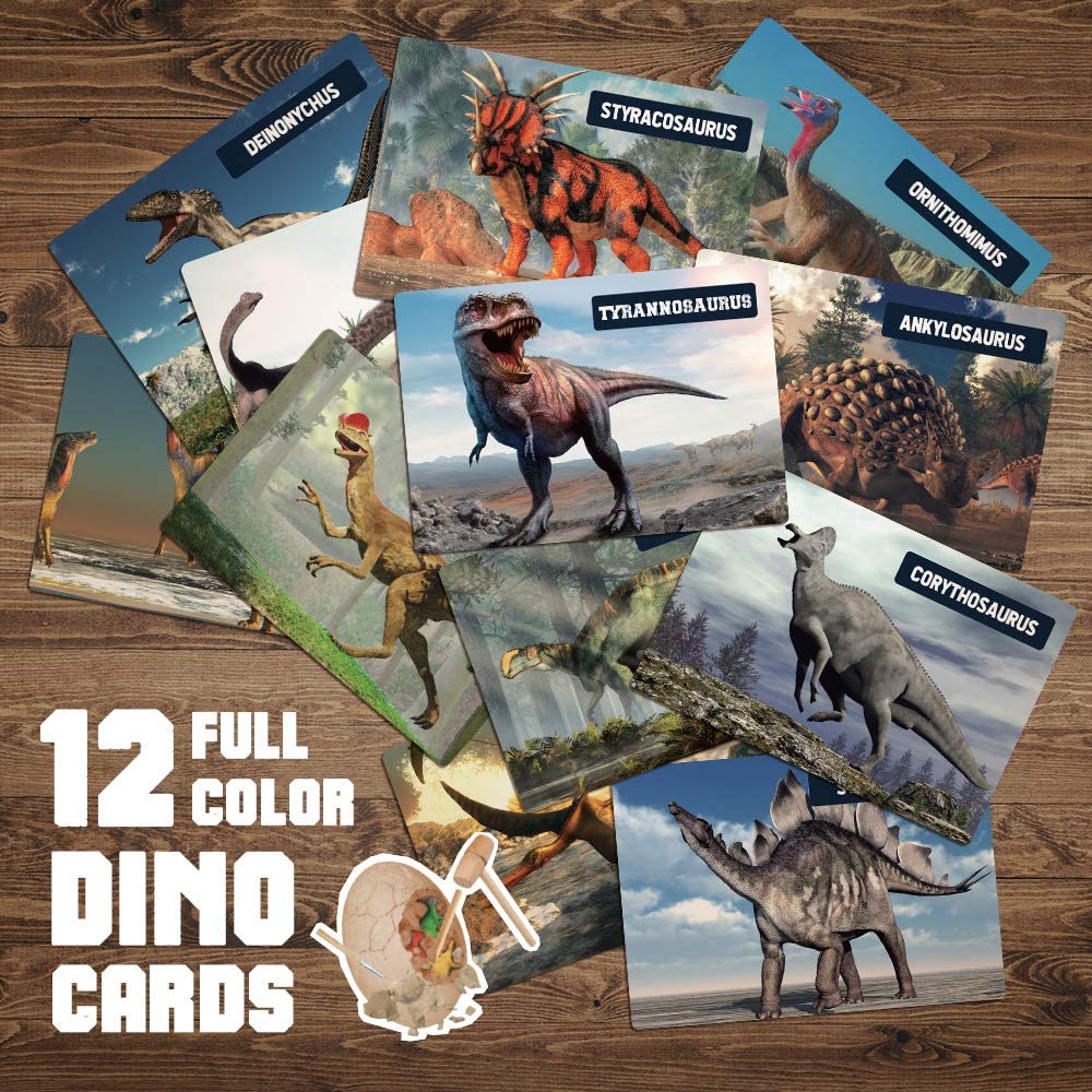 Dino Egg Dig Kit Dino Egg Dig Kit