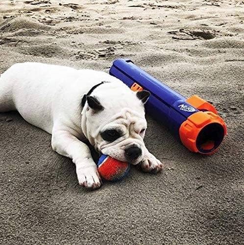 Nerf Dog Tennis Ball Blaster Dog Toy Nerf Dog Tennis Ball Blaster Dog Toy