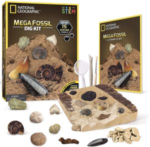 NATIONAL GEOGRAPHIC Mega Fossil Dig Kit