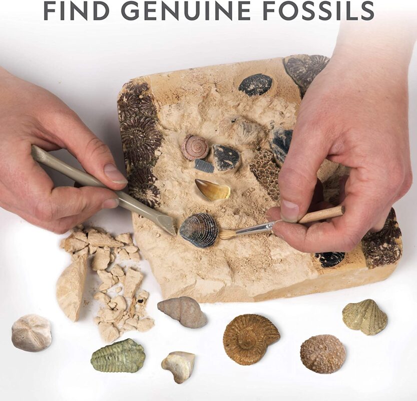 NATIONAL GEOGRAPHIC Mega Fossil Dig Kit