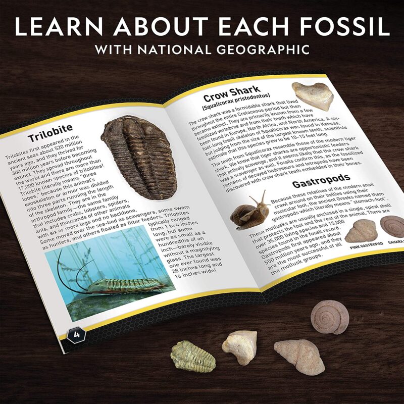 NATIONAL GEOGRAPHIC Mega Fossil Dig Kit