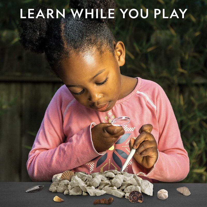 NATIONAL GEOGRAPHIC Mega Fossil Dig Kit