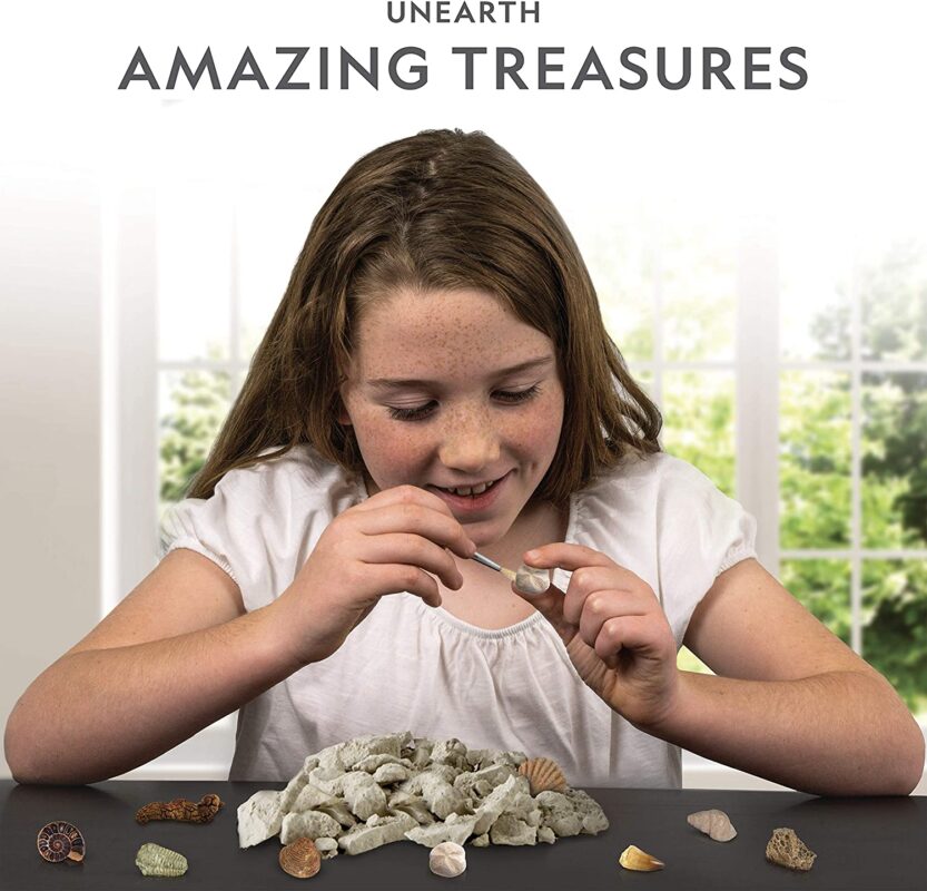 NATIONAL GEOGRAPHIC Mega Fossil Dig Kit