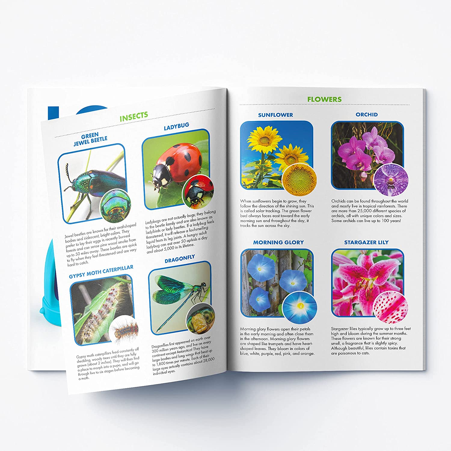 Educational Insights GeoSafari Jr. Kidscope Educational Insights GeoSafari Jr. Kidscope
