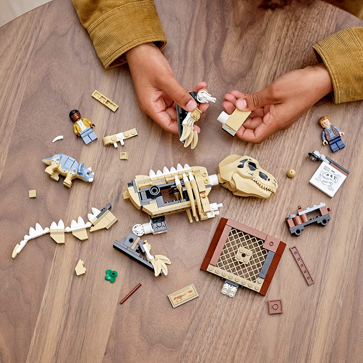 LEGO Jurassic World TRex Dinosaur Fossil Exhibition 76940 LEGO Jurassic World TRex Dinosaur Fossil Exhibition 76940