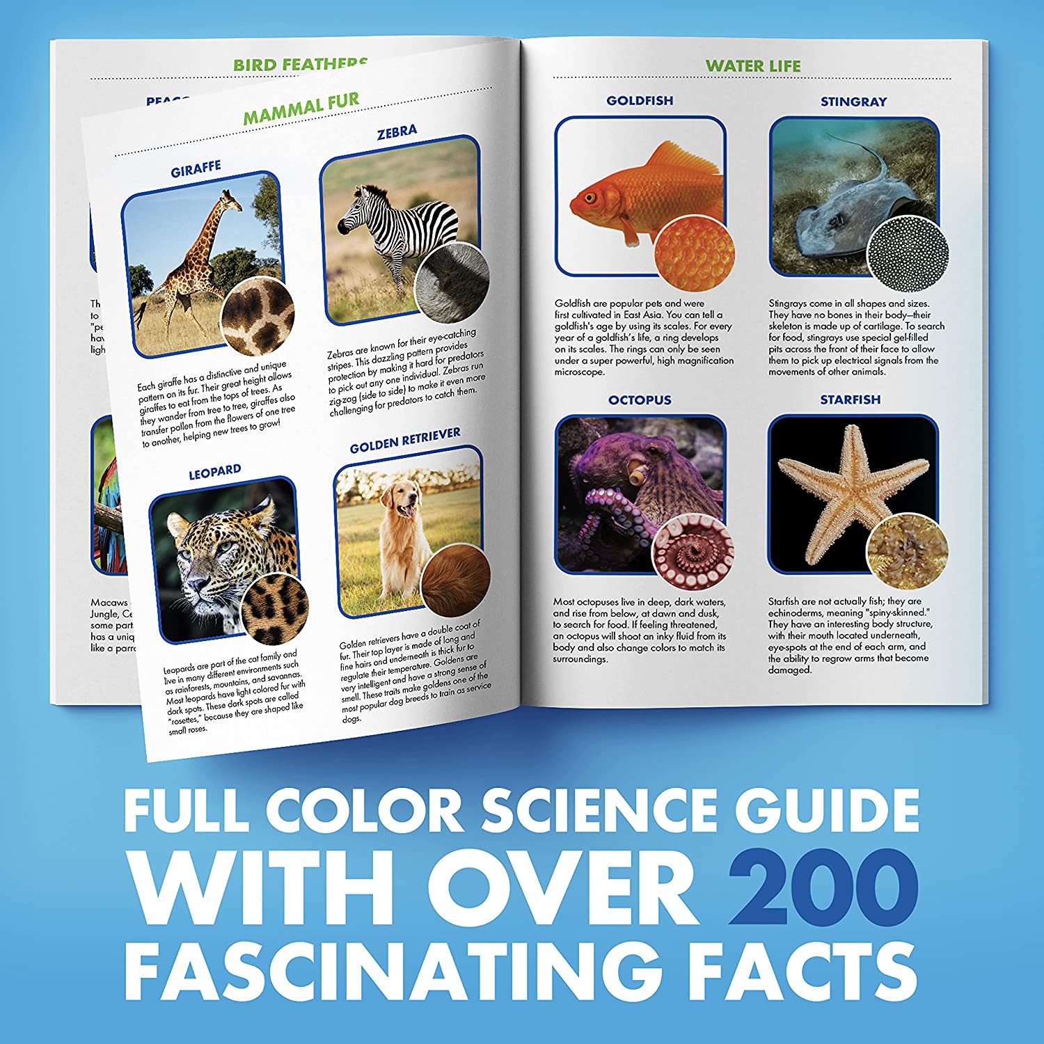 Educational Insights GeoSafari Jr. Kidscope Educational Insights GeoSafari Jr. Kidscope