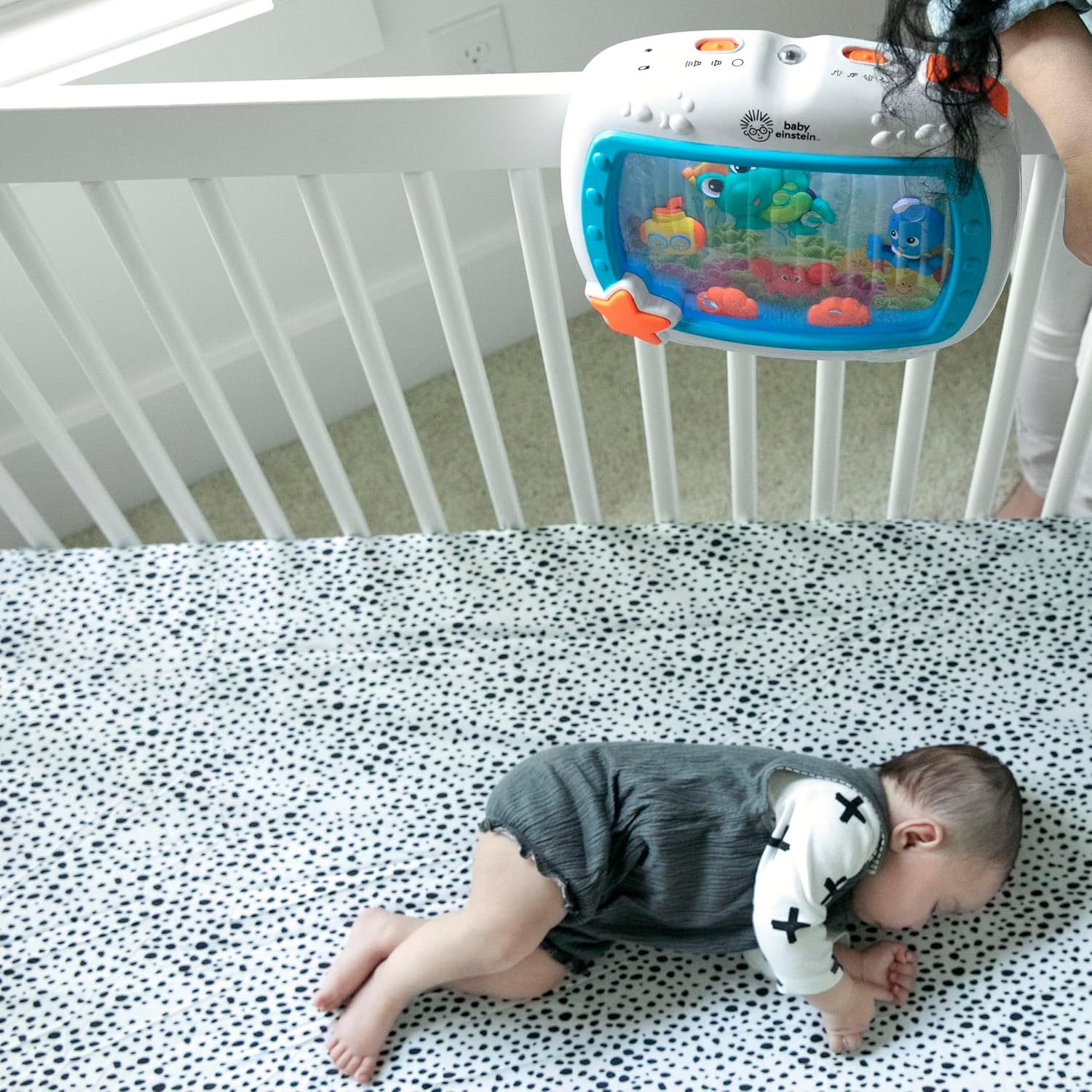 Baby Einstein Sea Dreams Soother Musical Crib Toy Baby Einstein Sea Dreams Soother Musical Crib Toy