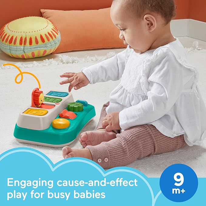 Fisher-Price Baby Early Learning Toy Fisher-Price Baby Early Learning Toy