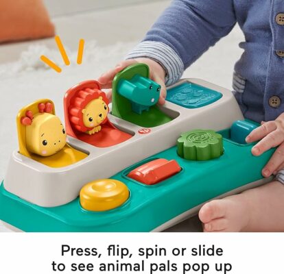 Fisher-Price Baby Early Learning Toy