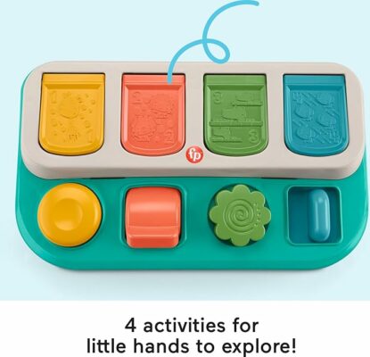 Fisher-Price Baby Early Learning Toy
