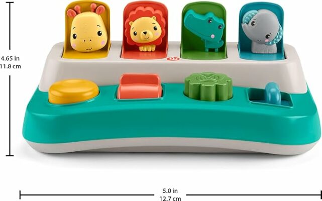 Fisher-Price Baby Early Learning Toy