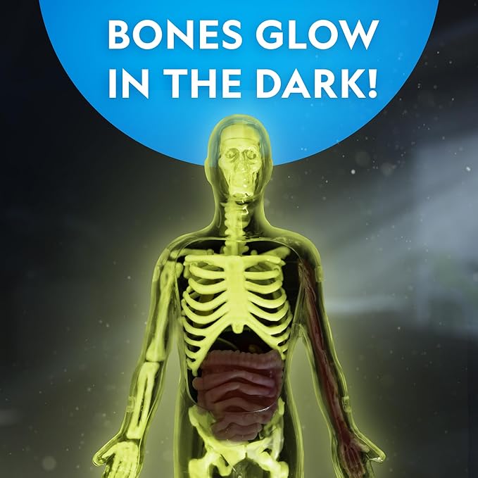 National Geographic Human Body Model for Kids National Geographic Human Body Model for Kids