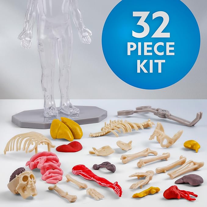 National Geographic Human Body Model for Kids National Geographic Human Body Model for Kids