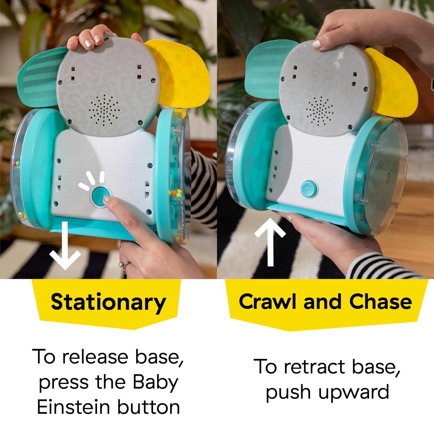 Baby Einstein Chase & Tap Earl Crawling Baby Toy Baby Einstein Chase & Tap Earl Crawling Baby Toy