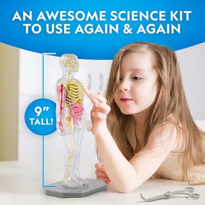 National Geographic Human Body Model for Kids