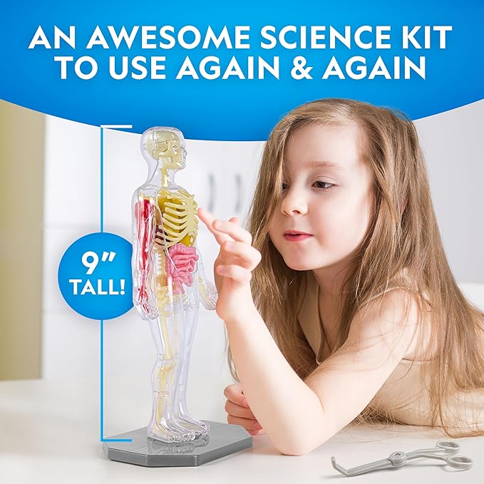National Geographic Human Body Model for Kids National Geographic Human Body Model for Kids