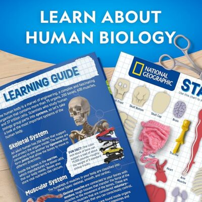 National Geographic Human Body Model for Kids