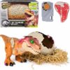 Jurassic World Interactive Toy Dinosaur & Egg