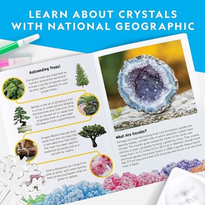 National Geographic Craft Kits for Kids Crystal Growing Kit