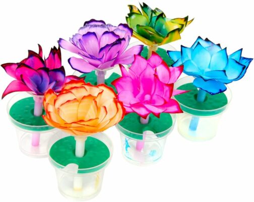 Crayola Paper Flower Science Kit Color Changing Flowers Gift