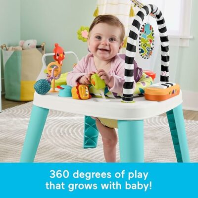 Fisher-Price Baby to Toddler Toy 2in1 Purple Monkey Activity Center