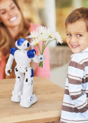 Gesture & Sensing Programmable Remote Control Smart Robot