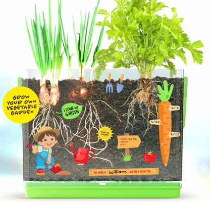 Root Viewer Kit for Kids Grow Your Own Plant for Boys & Girls
