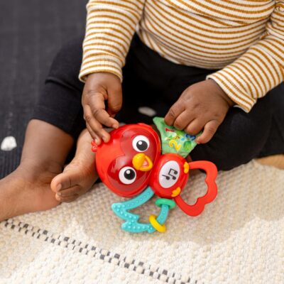 Baby Einstein Roxys Bright Flight Musical Baby Toy & Teether