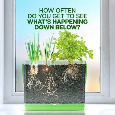 Root Viewer Kit for Kids Grow Your Own Plant for Boys & Girls