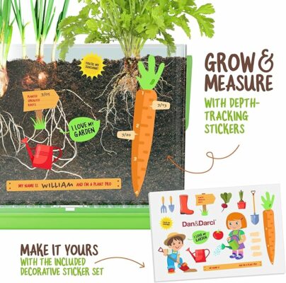 Root Viewer Kit for Kids Grow Your Own Plant for Boys & Girls