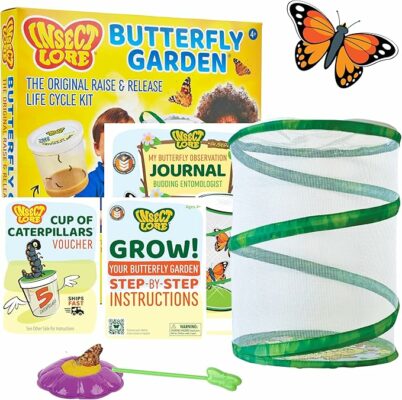 Insect Lore Raise and Release Butterfly Garden Kit for Kids