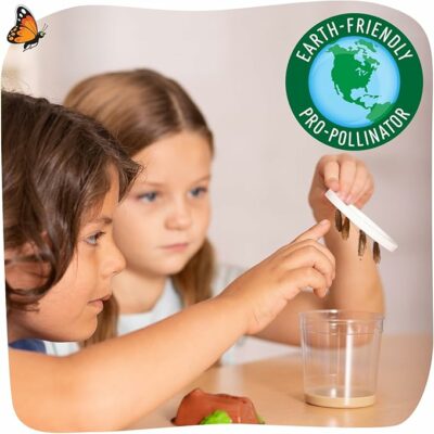 Insect Lore Raise and Release Butterfly Garden Kit for Kids