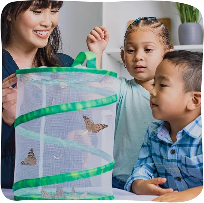 Insect Lore Raise and Release Butterfly Garden Kit for Kids Insect Lore Raise and Release Butterfly Garden Kit for Kids
