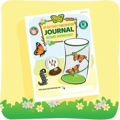 Insect Lore Raise and Release Butterfly Garden Kit for Kids