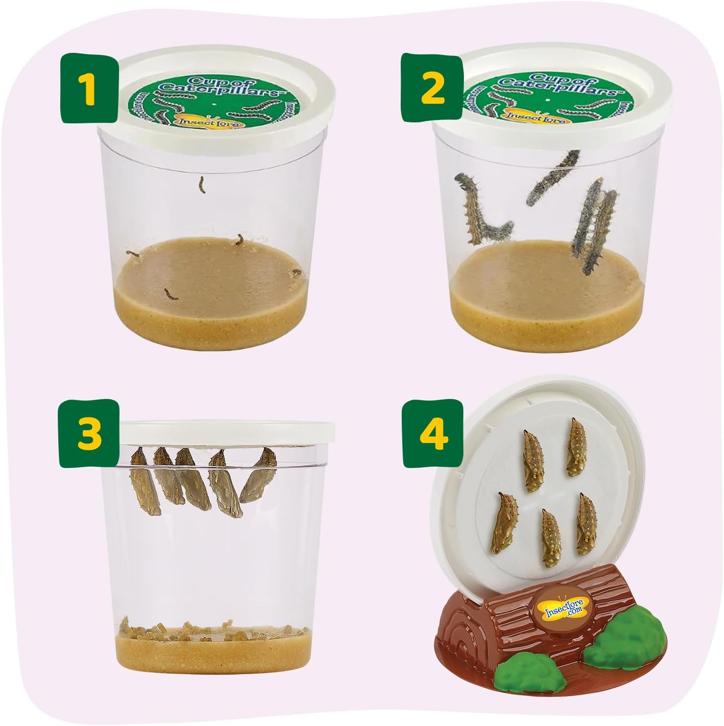 Insect Lore Raise and Release Butterfly Garden Kit for Kids Insect Lore Raise and Release Butterfly Garden Kit for Kids