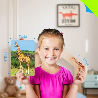 15 PCS Safari Animal Figurines with 15 Flashcards Realistic Zoo Montessori Toy