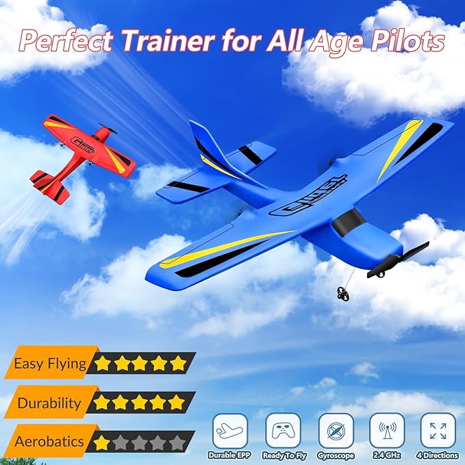 RC Plane Ready to Fly Remote Control Airplane RC Plane Ready to Fly Remote Control Airplane